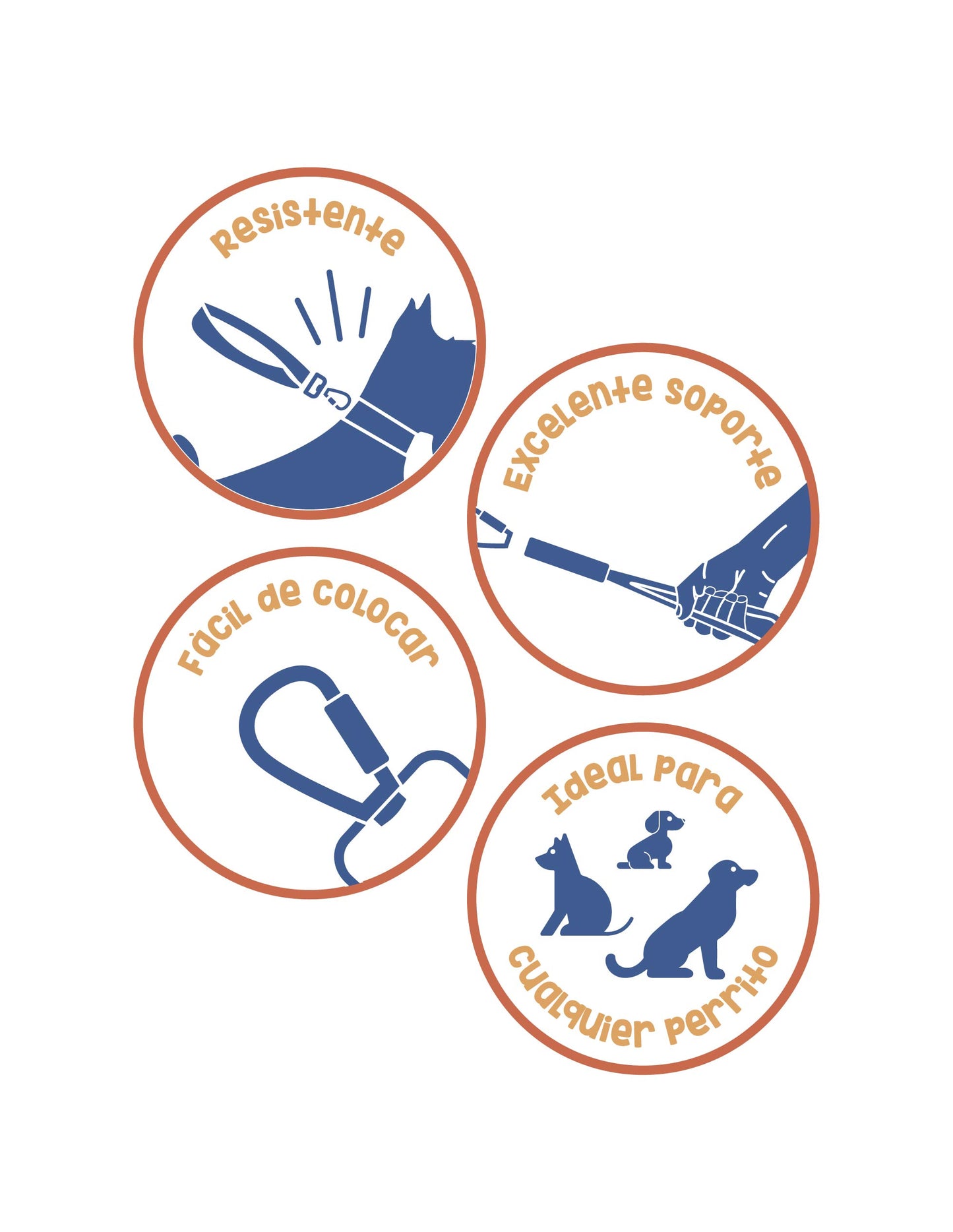 Correa de Entrenamiento