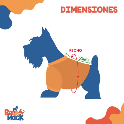 Chamarra Trucker Jacket