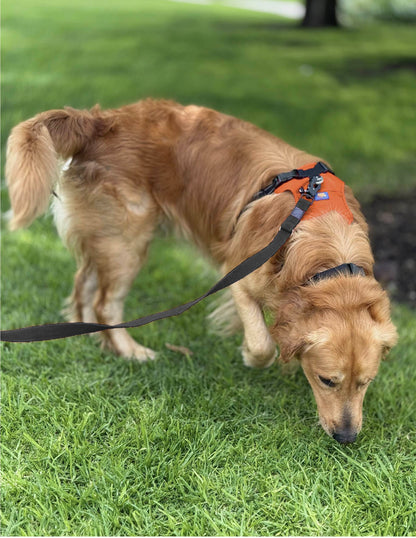 Correa Ajustable 4 en 1