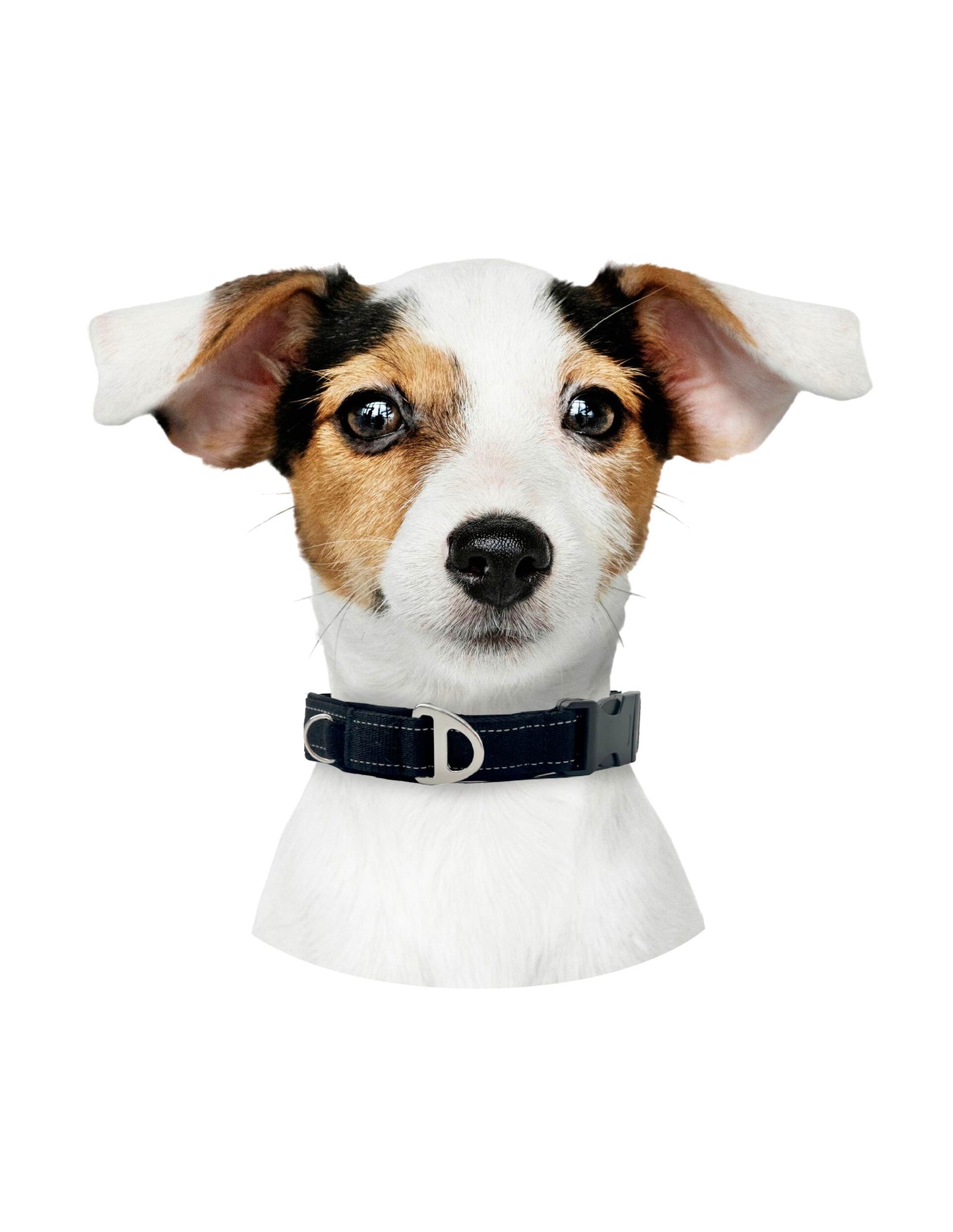 Collar