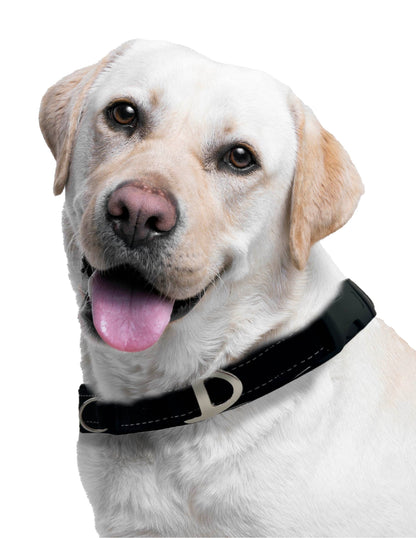 Collar