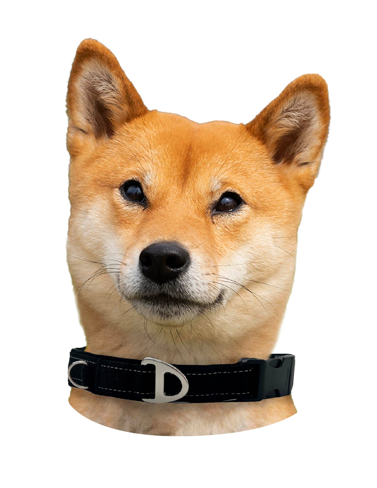 Collar
