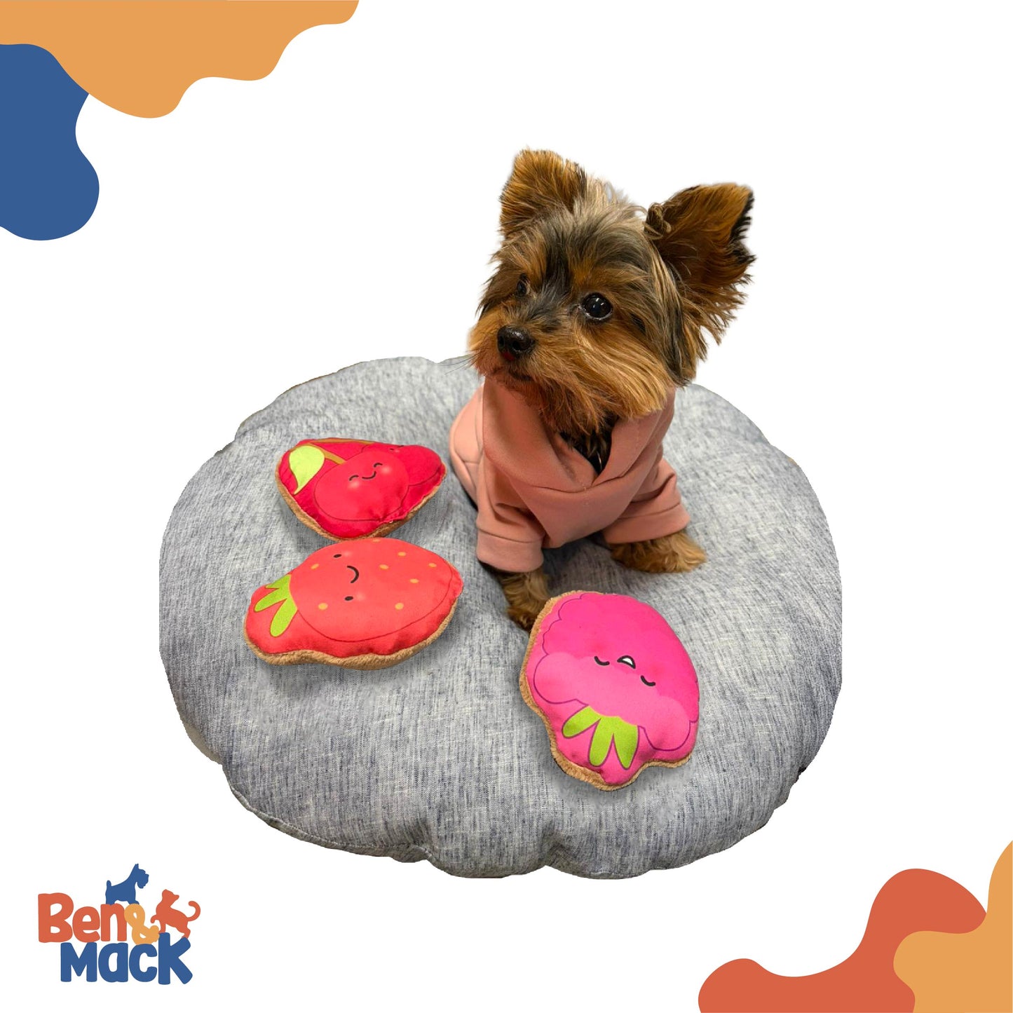 Set de Juguetes Baya Diversión